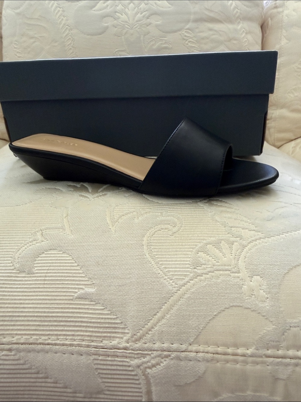Ann Taylor wedge sandals